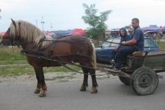 RO1913k RO1913k