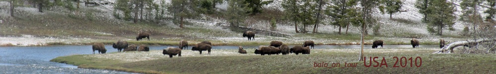 USA10_0_Yellowstone